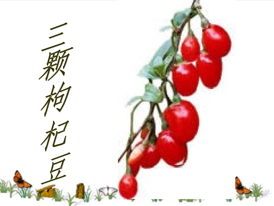 三颗枸杞豆3_第1页