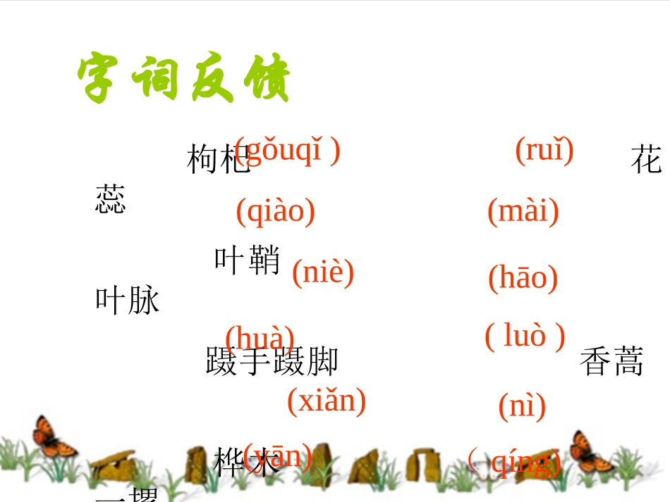 三颗枸杞豆3_第2页