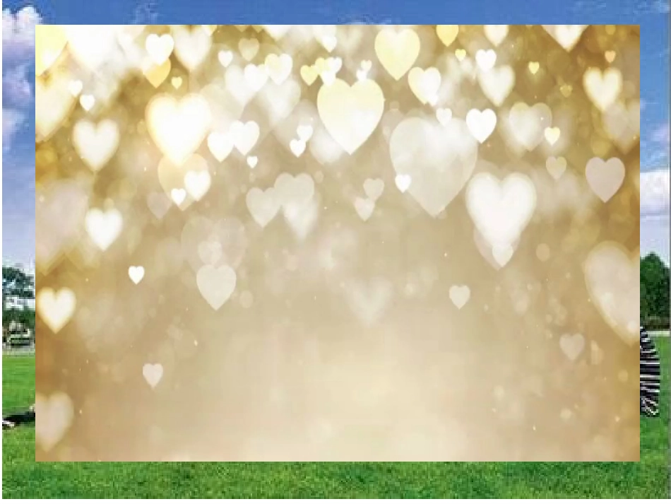 统计调查.1统计调查(1)_第3页