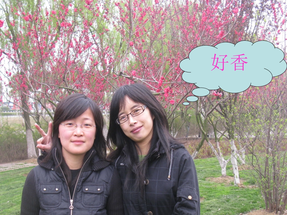 分子和原子最终1_第2页