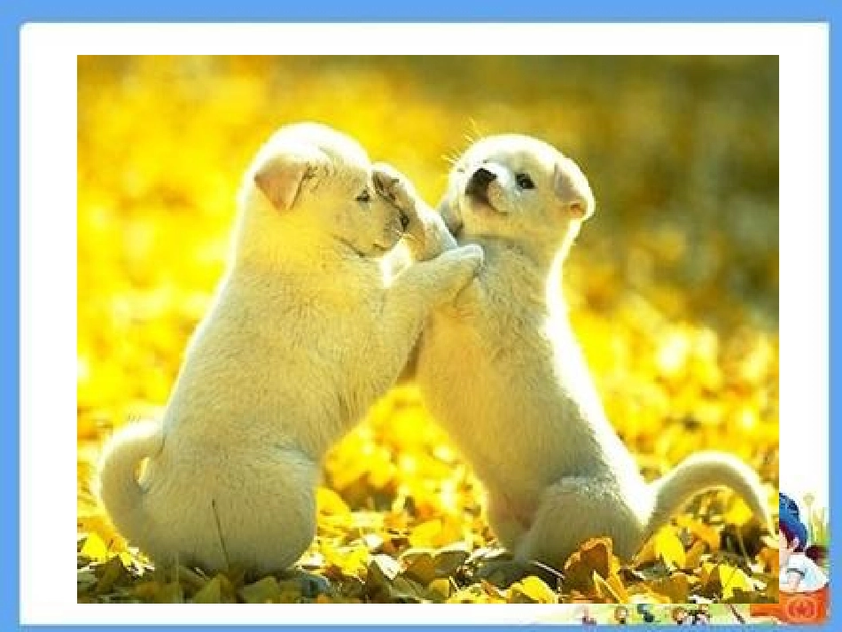 学会和谐相处_第3页