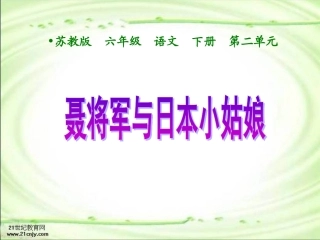 《聂将军与日本小姑娘》PPT