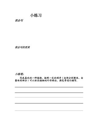 宋庆龄小练习