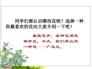 《广玉兰》课件(1)