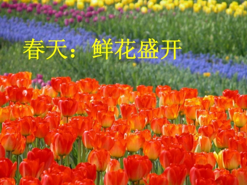 巨人的花园（何爱云）_第2页