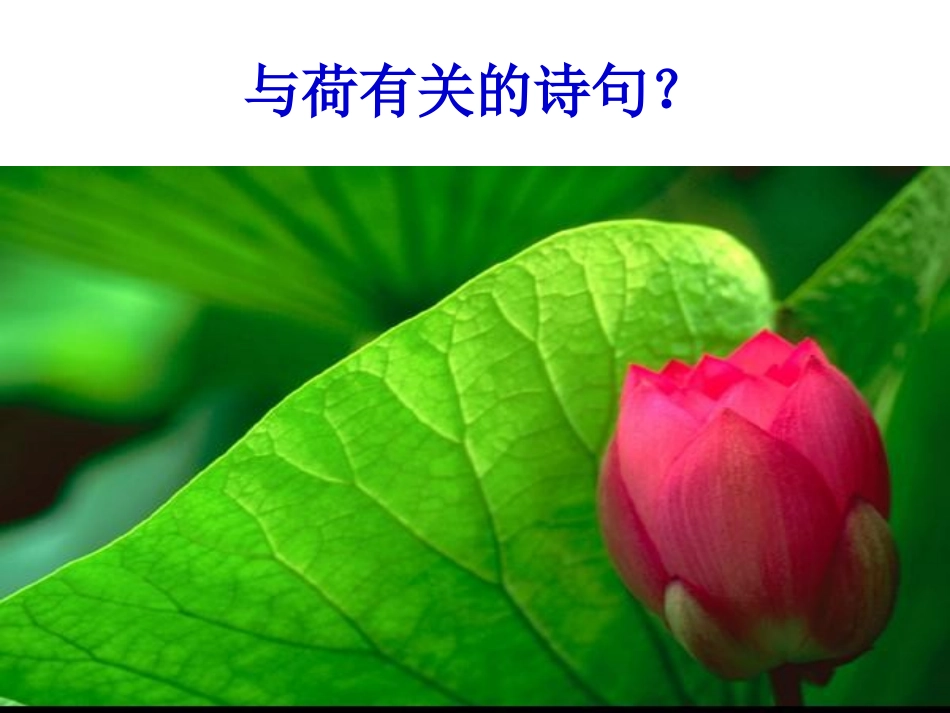 《荷塘月色》ppt_第1页