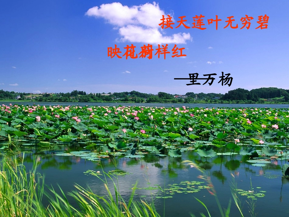 《荷塘月色》ppt_第3页