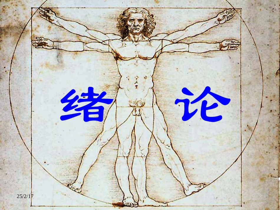 解剖学 绪论_第2页