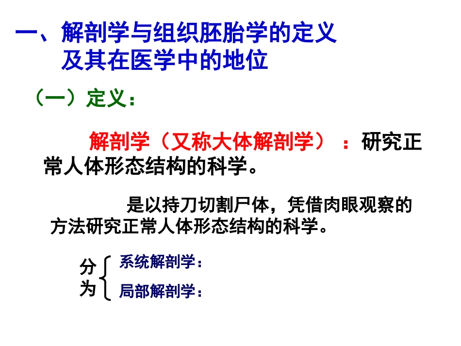 解剖学 绪论_第3页