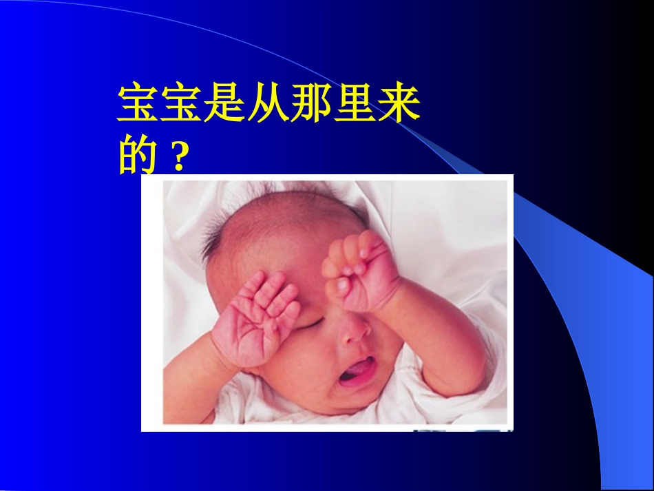 第1节人的生殖_第2页