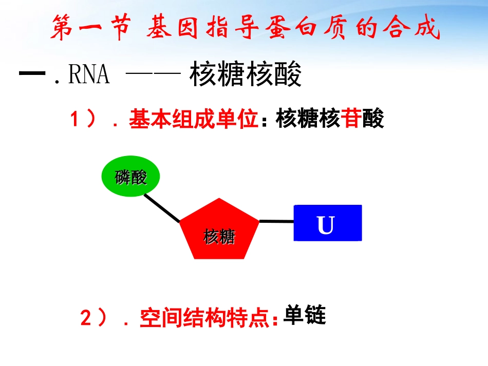 基因的表达-ppt_第3页