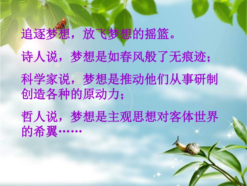 主题班会：放飞梦想_第3页