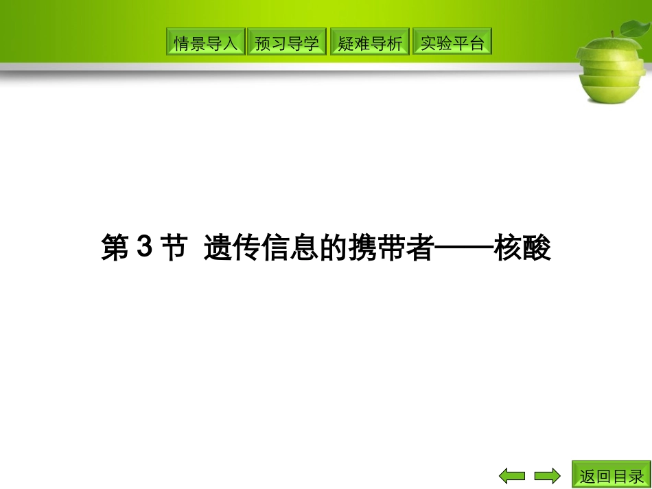 第3节遗传信息的携带者——核酸_第1页