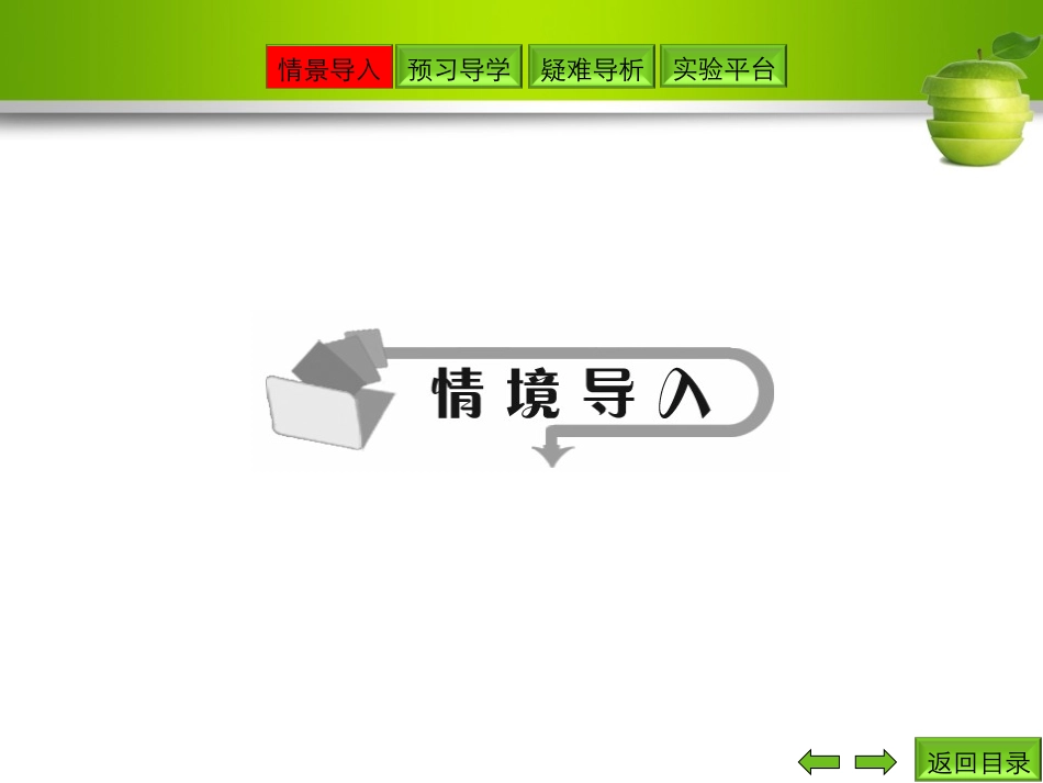 第3节遗传信息的携带者——核酸_第2页