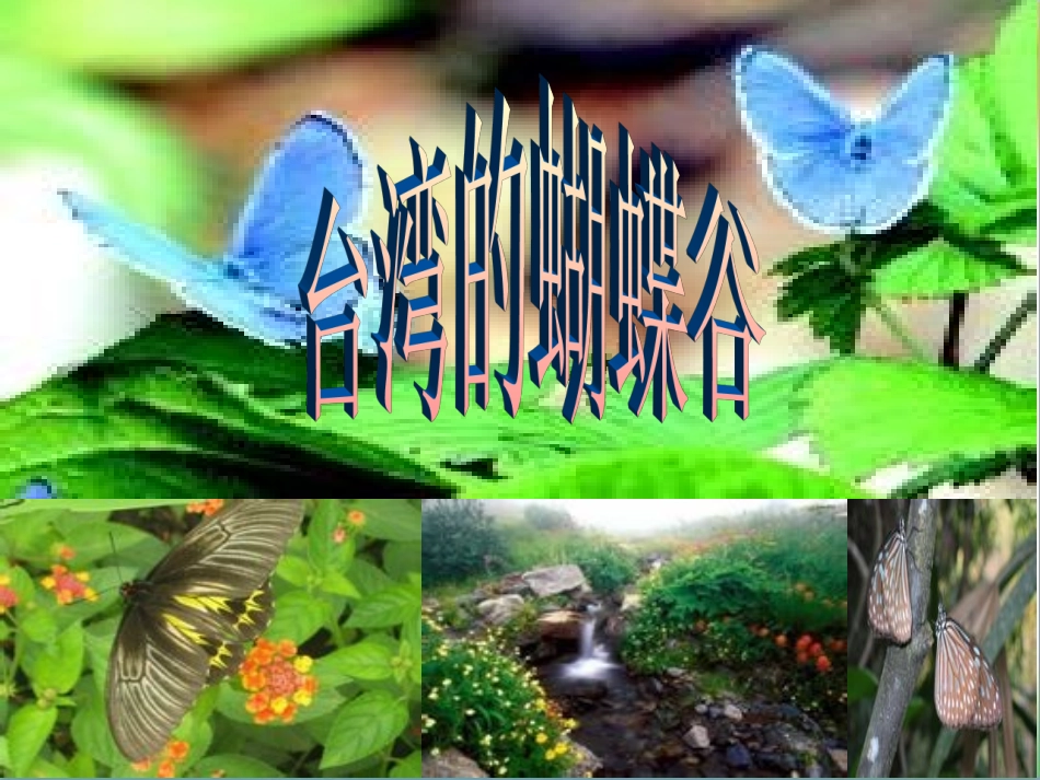 台湾的蝴蝶谷_PPT_第1页