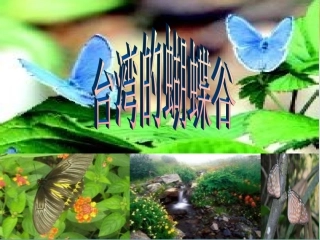 台湾的蝴蝶谷_PPT