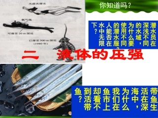 《10.2液体的压强》