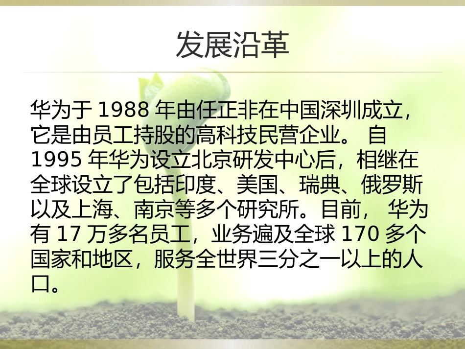 华为财务报表分析_第3页