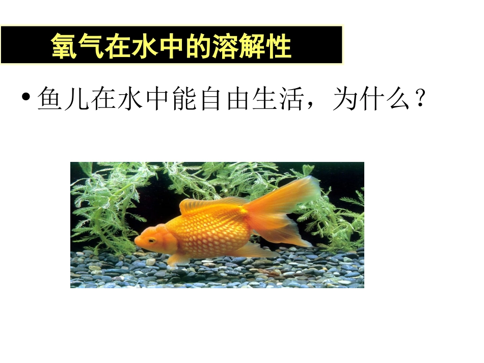 氧气的化学性质_第3页