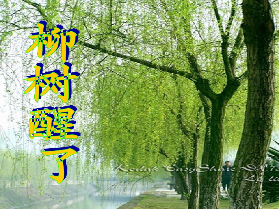 柳树醒了_PPT_第3页