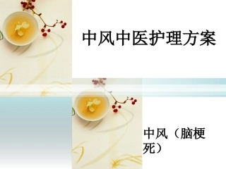 中风中医护理方案