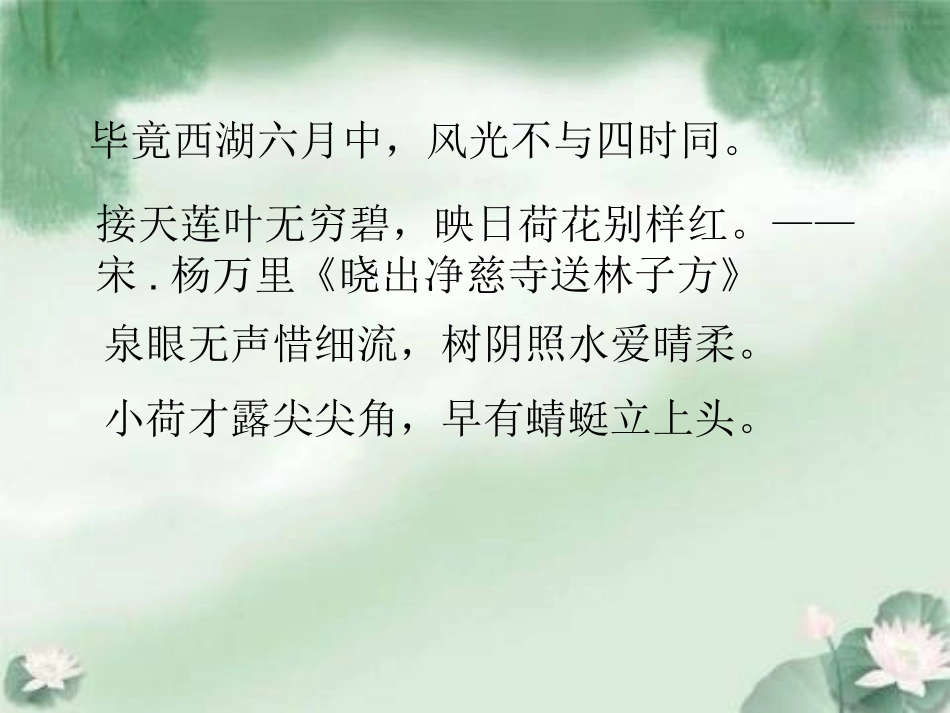 三下荷花第一课时1_第2页