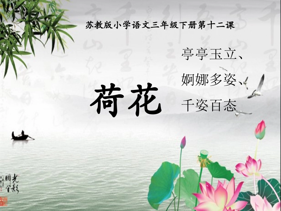 三下荷花第一课时1_第3页