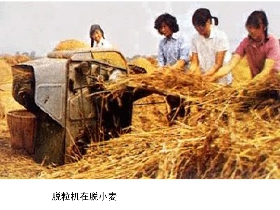 3.中班语言：《夏天》_第2页