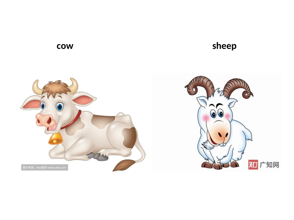 Lesson2CatsandDogs_第3页