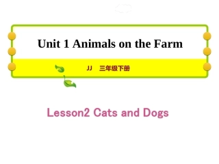 Lesson2CatsandDogs