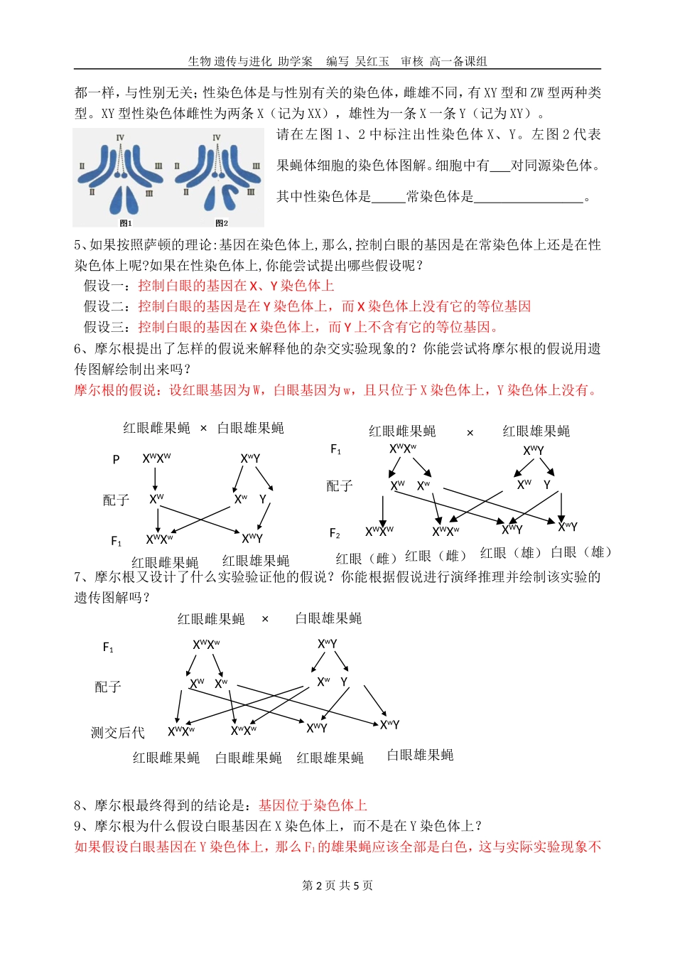 南通市二中高一生物助学案：基因在染色体上_第2页