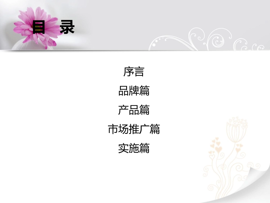 服装品牌的五年战略规划_第2页