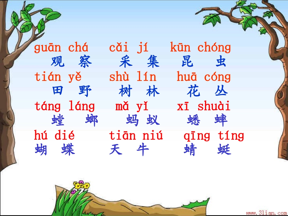 一年级上册识字4教学课件_第2页