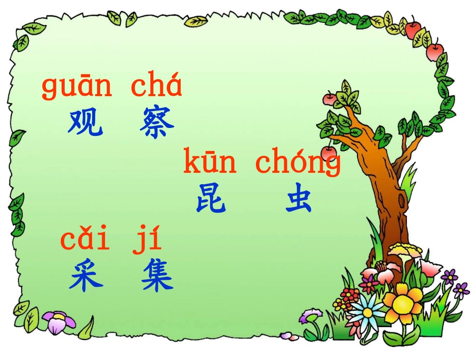 一年级上册识字4教学课件_第3页