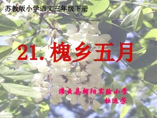 《槐乡五月》教学课件