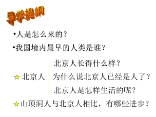 中国早期人类的代表-北京人PPT