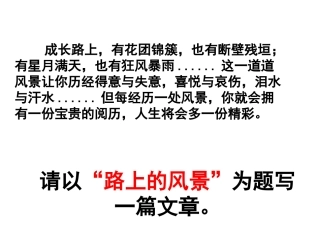 路上的风景作文训练