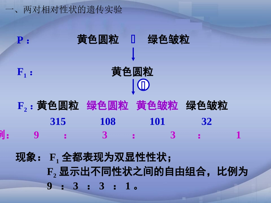 [中学联盟]广东省珠海一中人教版必修二生物课件：自由组合规律（共12张PPT）_第3页