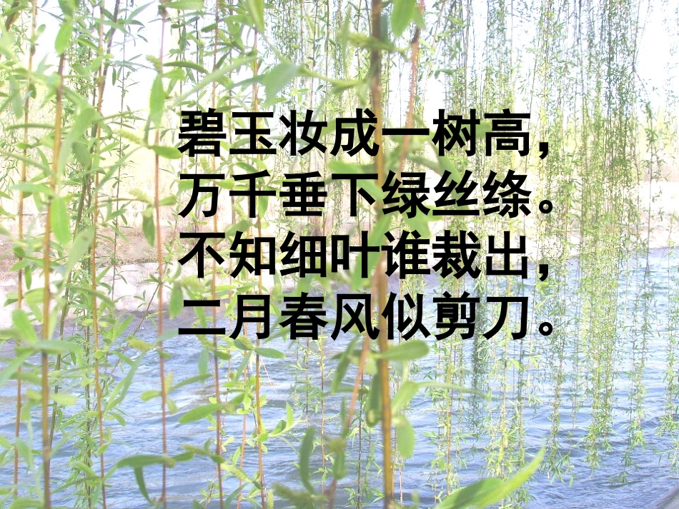 《柳叶儿》 (3)_第1页