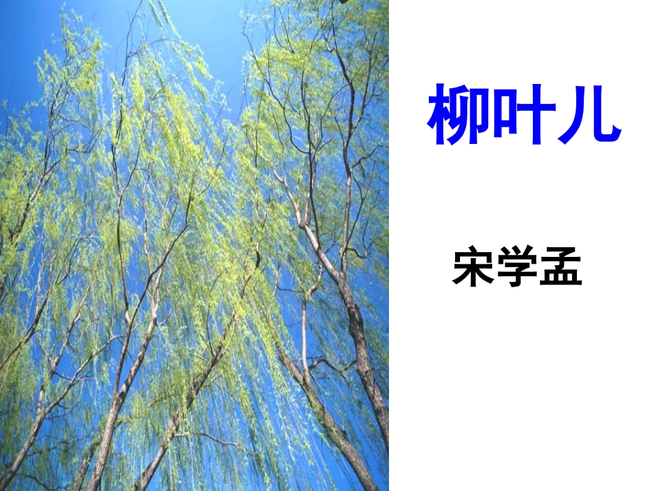 《柳叶儿》 (3)_第2页