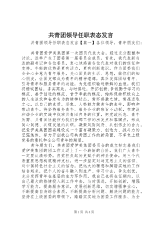 共青团领导任职表态发言