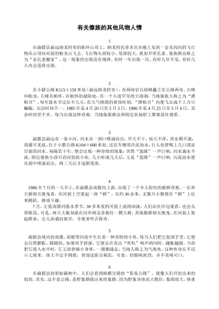 有关傣族的其他风物人情
