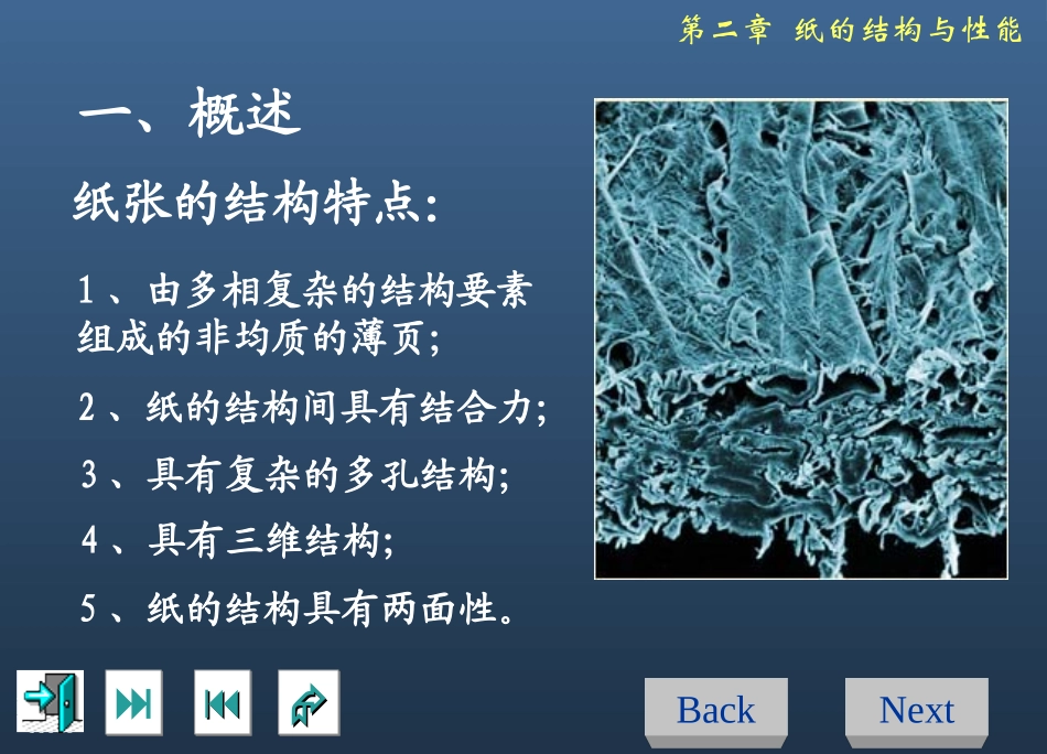 纸的结构与性能_第2页