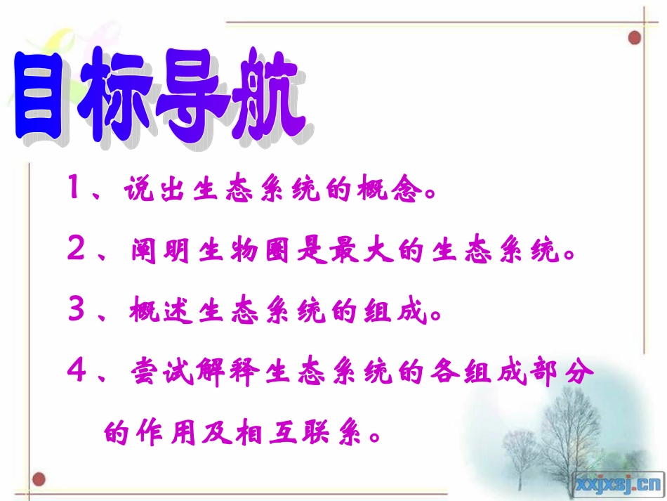 生态系统的组成_第2页