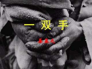 《一双手》教学课件