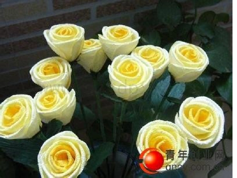 小学研究性学习纸的研究ppt_第3页