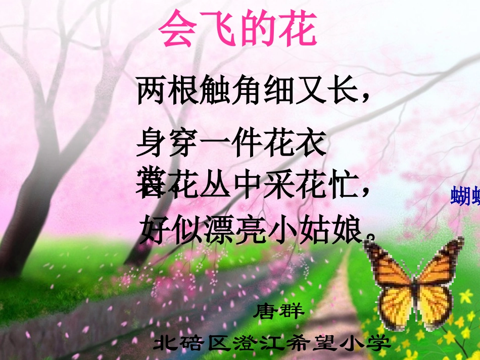 会飞的花——剪纸蝴蝶_第1页