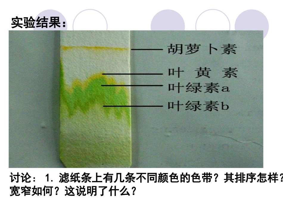 叶绿素提取实验_第1页