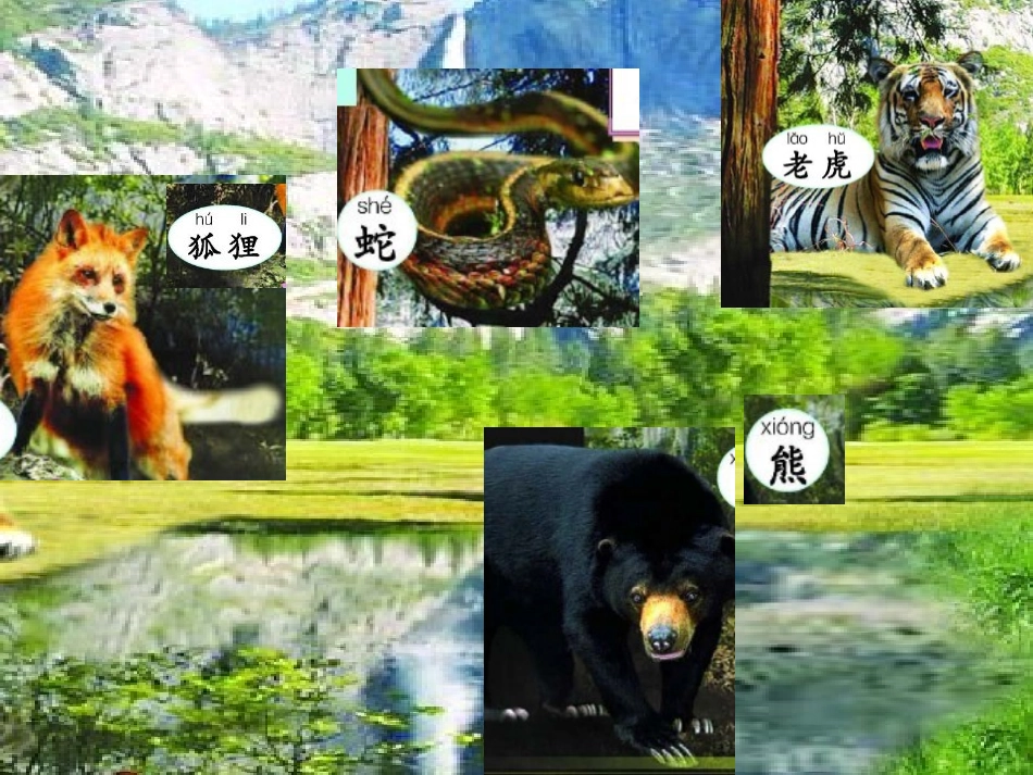 第二板块动物乐园_第2页