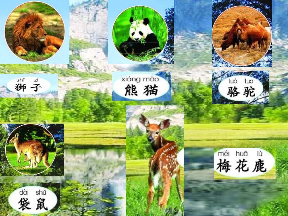 第二板块动物乐园_第3页